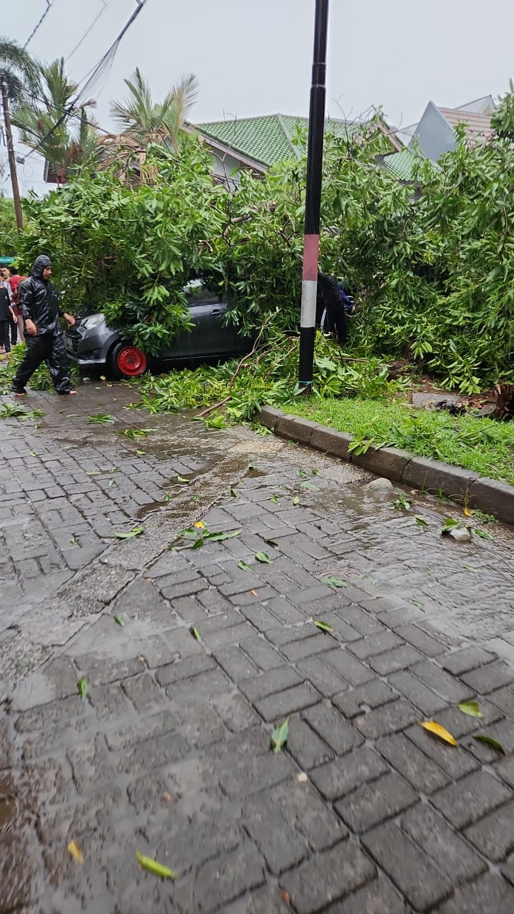 Cuaca Buruk Dua Mobil Di Makassar Tertimpa Pohon Tumbang Rakyat Sulsel