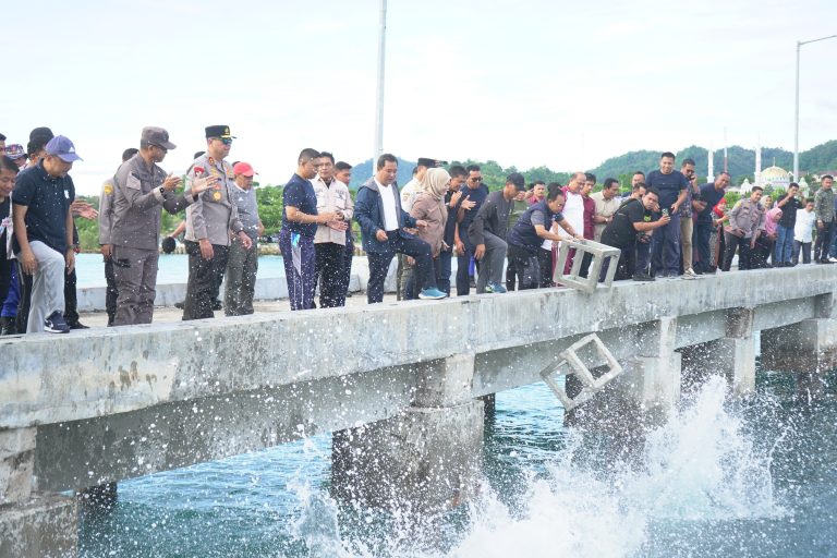 Pj Gubernur Sulbar Bersama Forkopimda Turunkan Seribu Karang Buatan Di