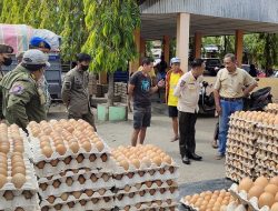 Dishub Gandeng Satpol PP Sosialisasikan Larangan Jual Beli Telur di Terminal Pangkajene