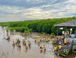 Peringati Hari Bumi, Accor Hotels Makassar Tanam 1000 Bibit Mangrove