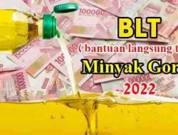 BLT Minyak Goreng, Segini Jumlah Penerima di Makassar