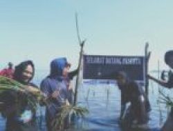 Aktif Tanam Mangrove Jalan Ade Dapat Beasiswa