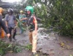 Babinsa Kodim 1426/Takalar Gerak Cepat Bantu Evakuasi Pohon Tumbang