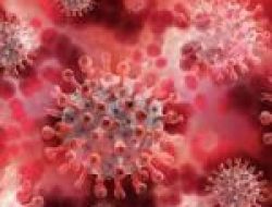 Makassar Sulit Deteksi Virus Omicron