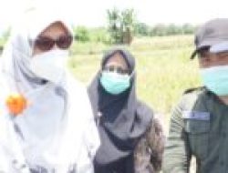 BPKPD Bone Studi Tiru Soal Pajak Daerah ke Bapenda Pinrang