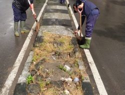 Jaga Keindahan Kota, Dinas PU Makassar Bersihkan Rumput Liar di Median Jalan