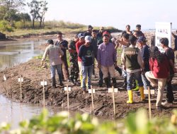 Ilham Azikin Hadiri Gerakan Reboisasi Sungai Nipa-nipa, 1.000 Bibit Mangrove Ditanam