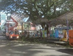 DLH Parepare Reaksi Cepat Sikapi Info Warga, Bersihkan Stadion, Rapikan Pohon Hingga Angkut Sampah