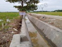 Pemprov Sulsel Rampungkan Rehabilitasi Daerah Irigasi Larandu di Luwu