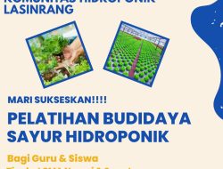 Cabang Dinas Wilayah VIII Sulsel Latih Siswa SMA di Pinrang Budidaya Sayur Hidroponik