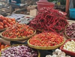 Jelang Idul Adha di Gowa: Harga Bahan Pokok, Cabai, Bawang Merah dan Telur Alami Kenaikan