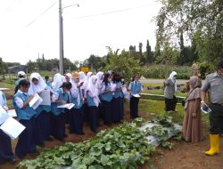 Lewat Outing Class, Siswa Kelas VII SMPN 6 Makassar Diharap Temukan Hubungan Kehidupan Nyata dan Materi Pembelajaran