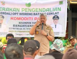 Bupati Pinrang Pimpin Gerdal OPT di Dua Kecamatan