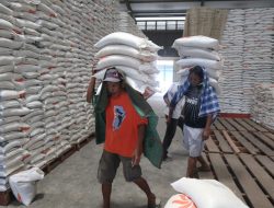 Beras Asal Sulsel Pemasok Terbesar di Indonesia