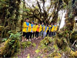 Mahasiswa KKN Atma Jaya Makassar Pasang Papan Petunjuk di Hutan Lumut Torut