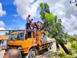 Respon Cepat Tim SAR Brimob Bone Evakuasi Truk Kontainer Tertimpa Pohon Tumbang