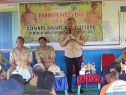 Terapkan Climate Smart Agriculture, Petani Watang Sawitto Bisa Panen 12 Ton Per Hektar 