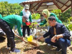 Reuni Akbar 35 Tahun IKA SMANLI Angk 87 Bertabur 350 Bibit Pohon
