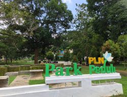 Teduhnya PLN Park Peduli Ini Jadi Tempat Andalan Mahasiswa UINAM Beraktifitas