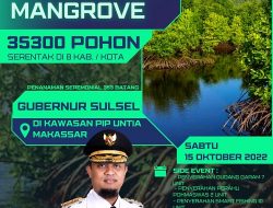 Besok, Andi Sudirman Pimpin Penanaman 35.300 Pohon Mangrove, Digelar Serentak di 9 Wilayah Pesisir Sulsel