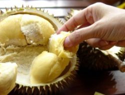 Khasiat Biji Durian untuk Kesehatan Jantung!