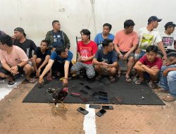 32 Orang Ditangkap Polisi Saat Sedang Main Judi Sabung Ayam dalam Ruko