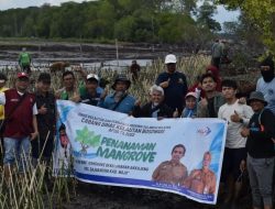 Rehabilitasi Wilayah Pesisir Wajo, DKP Sulsel Tanam 40 Ribu Batang Mangrove
