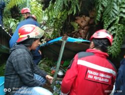 Korban Pohon Tumbang di Makassar 5 Orang, Ada Pengemudi Ojol dan Pedagang