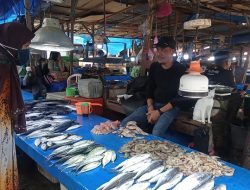 Nelayan Tak Melaut Akibat Cuaca Buruk, Harga Ikan di Mamuju Melonjak