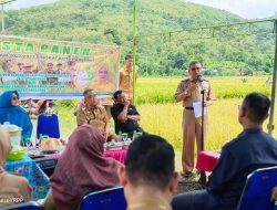 Hadiri Panen Perdana, Wali Kota Parepare Dorong Dinas Terkait Tingkatkan Produktivitas Pertanian dengan Inovasi