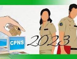 Siap-siap, Lima Kementerian Buka Loker CPNS 2023 untuk Formasi Lulusan SMA
