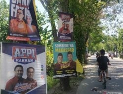 Sosialisasi Politik, DLH Sulsel Minta Kandidat Tak Paku Pohon