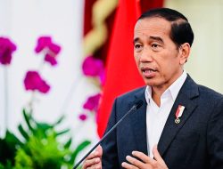 Jokowi Siapkan Sekolah Berkualitas Unggul di IKN