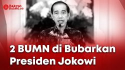 2 BUMN di Bubarkan Presiden Jokowi, Usai Dinyatakan Pailit