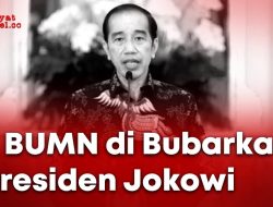 2 BUMN di Bubarkan Presiden Jokowi, Usai Dinyatakan Pailit