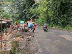 Pelebaran Jalan Poros Maros-Bone, 1.000 Pohon di Hutan Karaenta Akan Ditebang