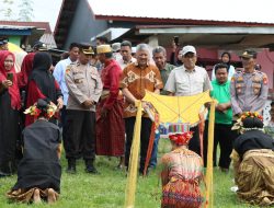 Bupati Pinrang Irwan Hamid Hadiri Pesta Panen di Kecamatan Patampanua 