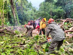 Respon Cepat Tim SAR Brimob Bone Evakuasi Pohon Tumbang di Desa Usa