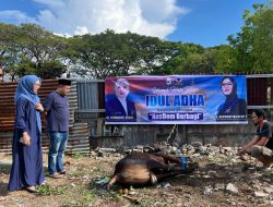 NasDem Makassar Bagikan Daging Hewan Kurban ke Warga, Tersebar di 15 Kecamatan
