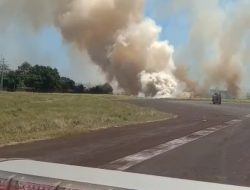 Lahan Terbakar di Kawasan Bandara Sultan Hasanuddin, Penerbangan Dipastikan Tidak Terganggu