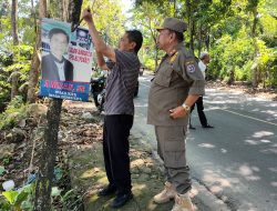 Pemkab Enrekang Tertibkan Baliho Terpaku di Pohon