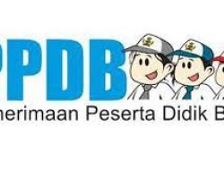 Pendaftaran PPDB SD/SMP Makassar Dimulai, Disdik Jamin Server Diskominfo Tanpa Kendala 
