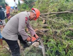 Kesigapan SAR Brimob Bone, Bantu Warga Atasi Pohon Tumbang Bahayakan Pengguna Jalan