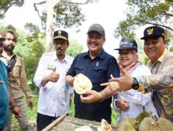 Hadiri Festival Durian Internasional, Kementan Rumuskan Strategi Pengembangan & Pemasaran Durian Unggul