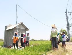 Program Electrifying Agriculture PLN Tumbuh 22,28 Persen