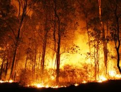 Cegah Kebakaran Hutan, Ini Imbauan Kapolres Sidrap Kepada Warga