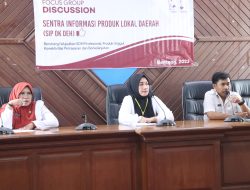 Bantu UMKM, Kabid Statistik Diskominfo Selayar Andi Dwiyanti Musrifah Gagas Program ‘SIP OK DEH’