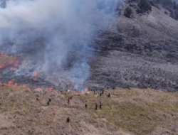 Buntut Kebakaran Prewed Bromo, Kawasan TNBTS Butuh Waktu 5 Tahun Untuk Pemulihan