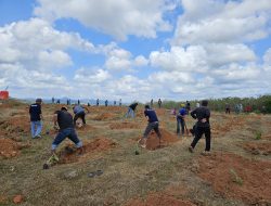 Camat Mare Siapkan 200 Hektare Lahan Untuk Ditanami Pohon Pisang