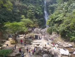 Nikmati Keindahan Wisata Pegunungan dan Kopi Robusta Sanggabuana, Wujud Pemberdayaan Desa BRILiaN